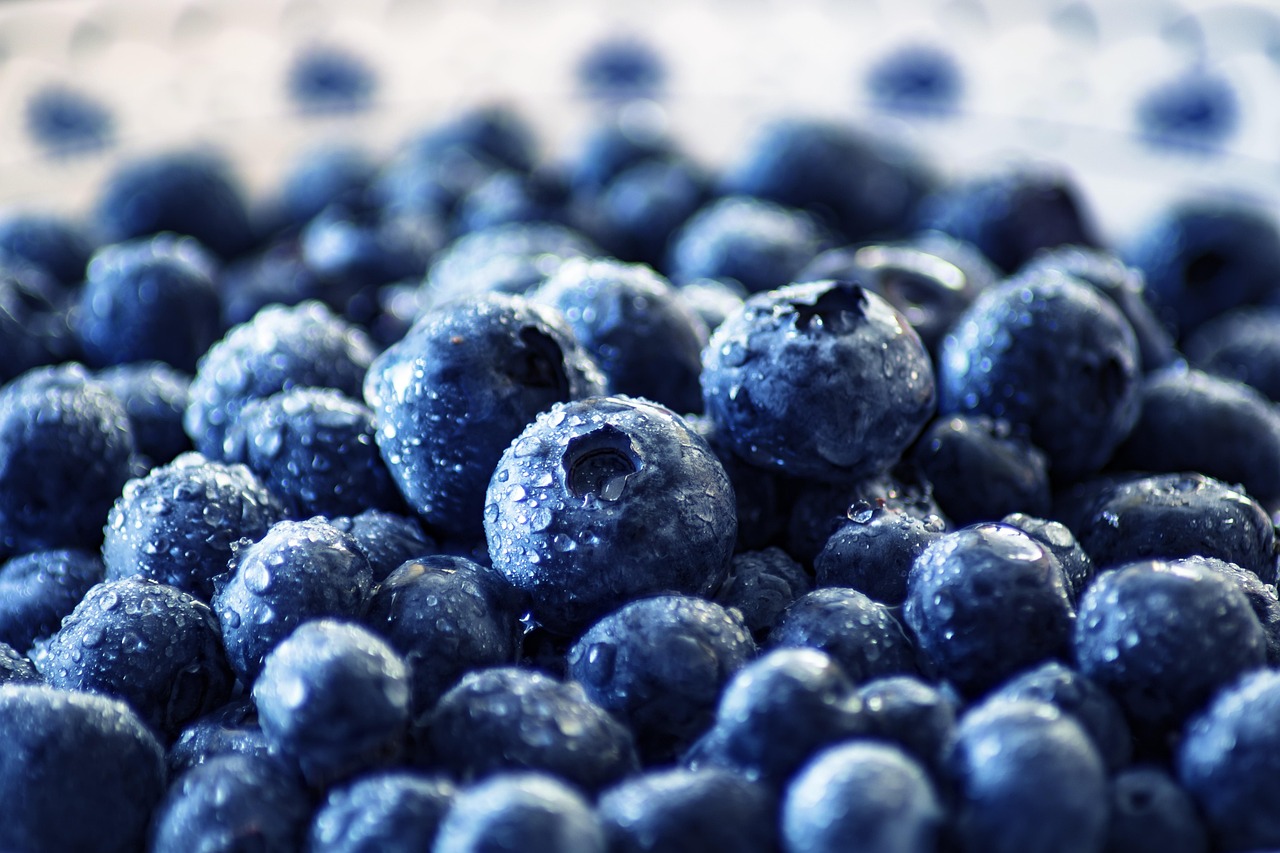 entdecken sie die welt der superfoods! erfahren sie, wie nährstoffreiche lebensmittel ihre gesundheit fördern, ihr immunsystem stärken und mehr energie in ihren alltag bringen können.