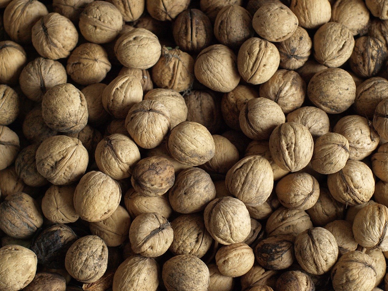 entdecken sie die häufigsten nährstoffmängel, ihre symptome und wie sie diese durch eine ausgewogene ernährung vermeiden können. erfahren sie mehr über vorbeugende maßnahmen und gesunde ernährungstipps.