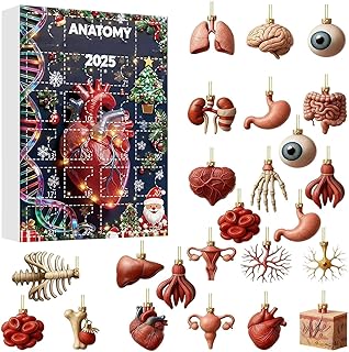 Compte à rebours de Noël, 2025 Figurines anatomiques 2D | Calendrier de Noël corps humain avec cerveau – Pour médecins, amoureux, fête, table, mur, chambre, fenêtre, porte, cheminée, voiture