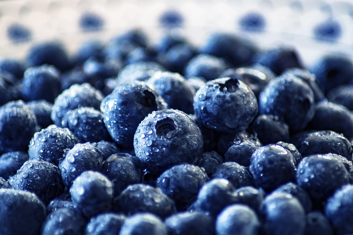 Welche traditionellen deutschen Superfoods gibt es zu entdecken?