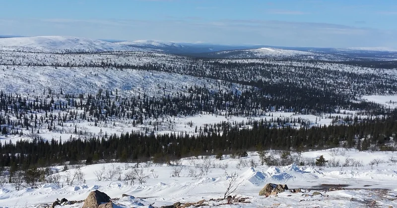 Wann Sie in Schweden wandern sollten: der Monat-für-Monat-Blick