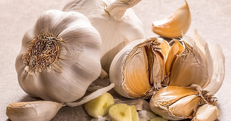 Knoblauch gesund: Warum die Knolle ein echtes Superfood ist