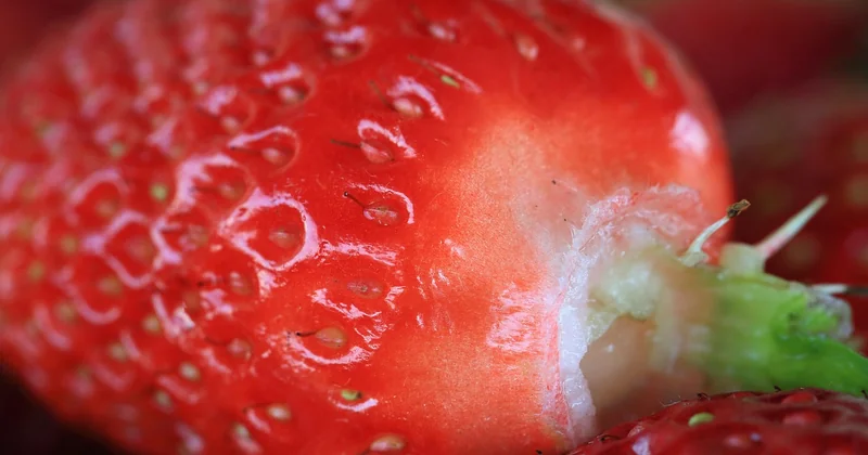 Ist es gesund, Knoblauch jeden Tag zu essen?