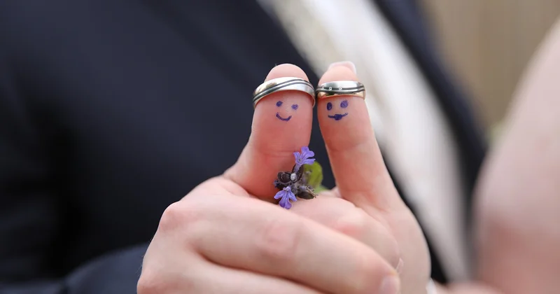 Geldgeschenk zur Hochzeit: Pflanze oder künstlicher Baum?